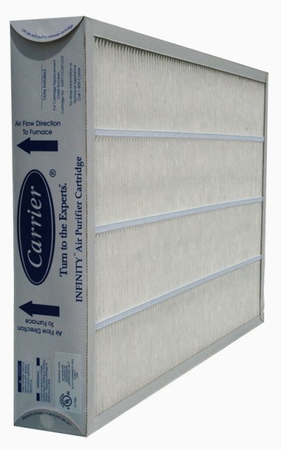 Carrier GAPCCCAR1625 OEM Replacement Air Filter - Click Image to Close